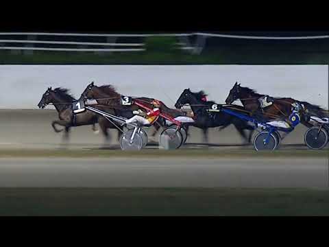 Napoli Trotto 25/08/2023 - 8ª corsa