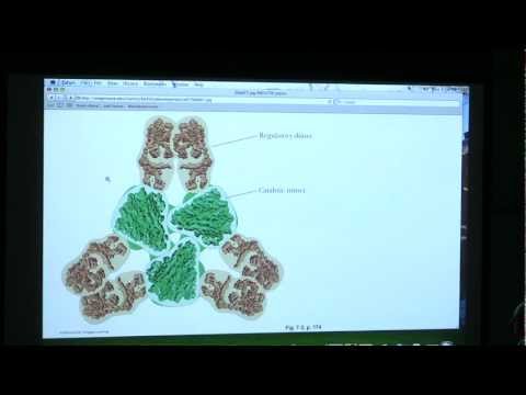 #11 BB 350 Enzymes 4 - Kevin Ahern's Biochemistry Online