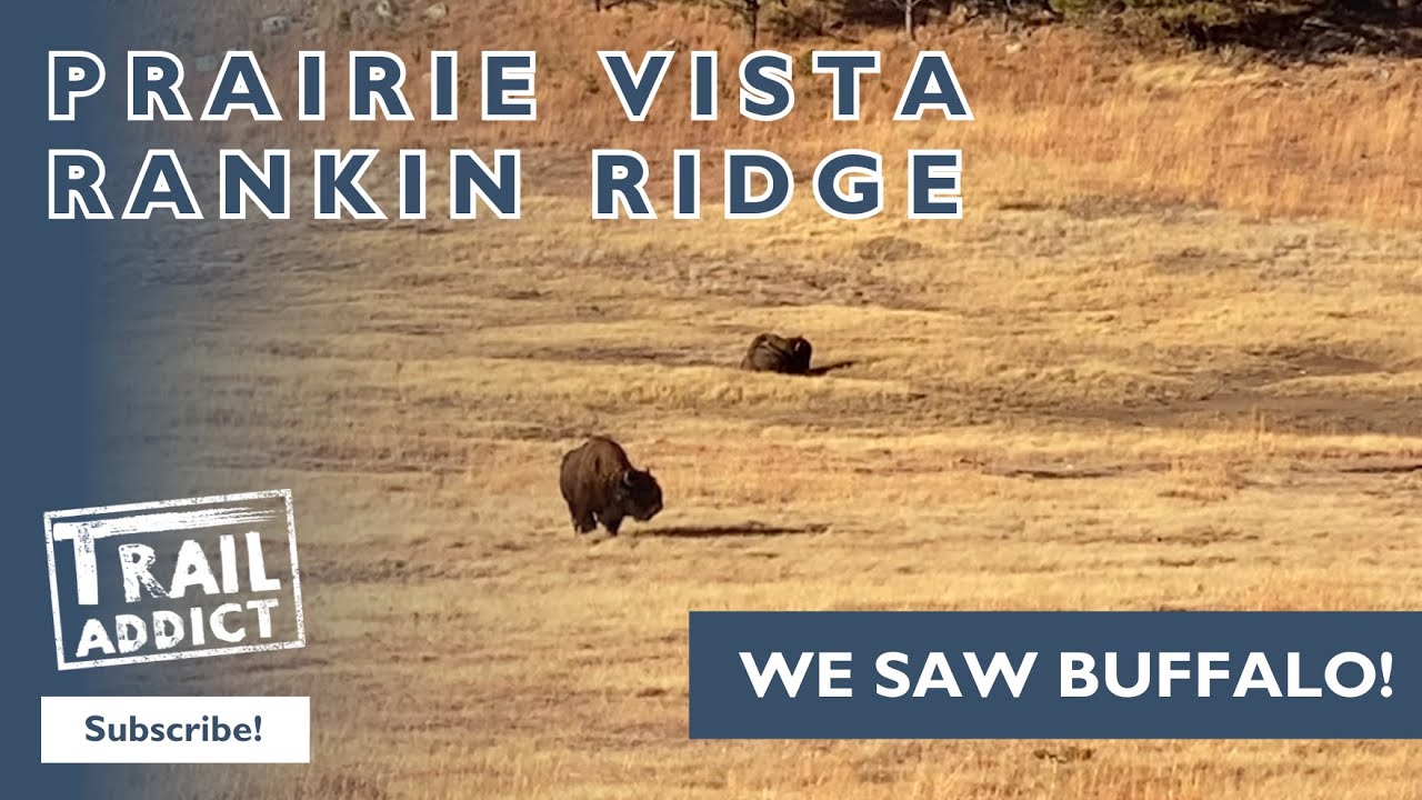 Prairie Vista Trail and Rankin Ridge Trail (Custer, SD) Fun Hikes in Wind Cave National Park