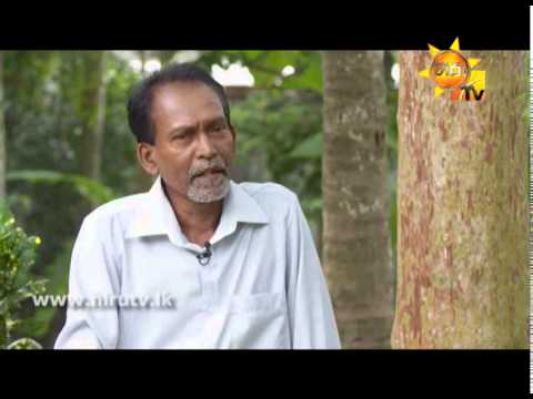 Hiru TV
