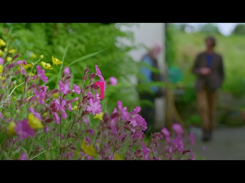 An Fód Deireanach | The Traditions of the bog | TG4
