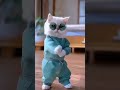 Funny Cartoon Videos Cartoon Babygirl Animation Subscribe