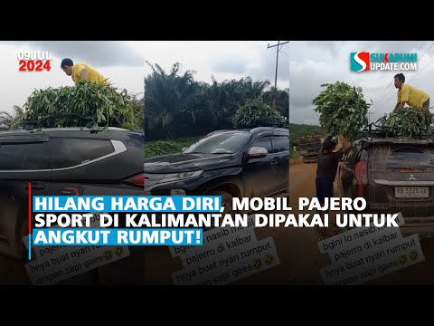Hilang Harga Diri, Mobil Pajero Sport di Kalimantan Dipakai untuk Angkut Rumput!
