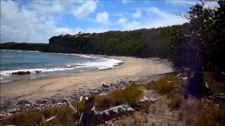 preview picture of video 'La Sagesse Beach Grenada'