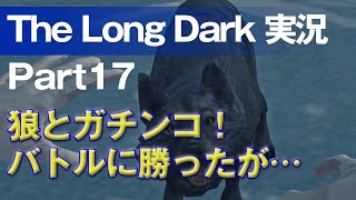 【The Long Dark 実況 part17】狼とガチンコ！バトルに勝ったが… ～ 北海道育ちの男が雪山遭難に挑む！