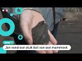 Eeuwenoude spullen gevonden op het strand van Kijkduin