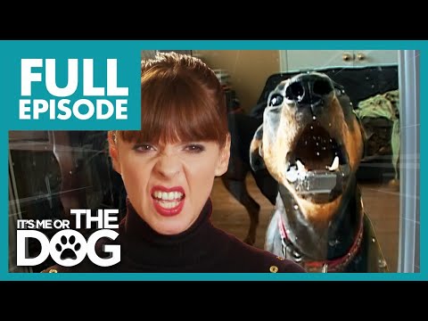 Victoria Tries to Tame Two Unruly Dobermans! | Full Episode | It's Me or The Dog