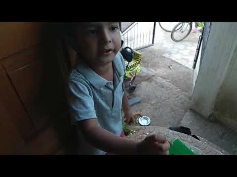 kittan accident and Abdul Bari