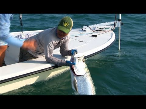 Addictive Fishing Tele... : Poontastic - TARPON on fly in Islamorada