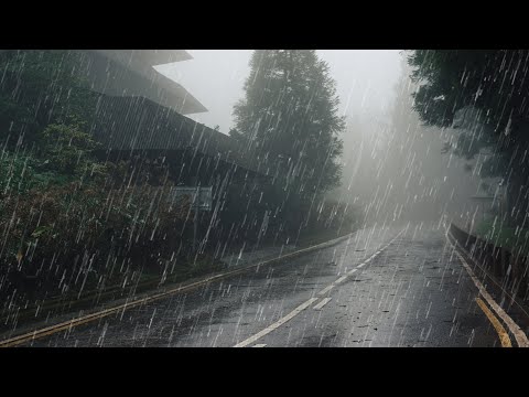 Wonderful Rain Sound to Sleep in 3 Minutes - Rain sound to Sleep, Study, Relax