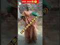 Apne Mai Ke Chodta Gachar Gachar Shots Viral Ytshorts Trending Youtubeshorts Comedy Funny