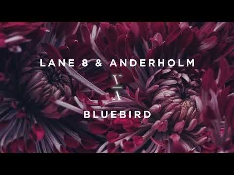 Lane 8 & Anderholm - Bluebird