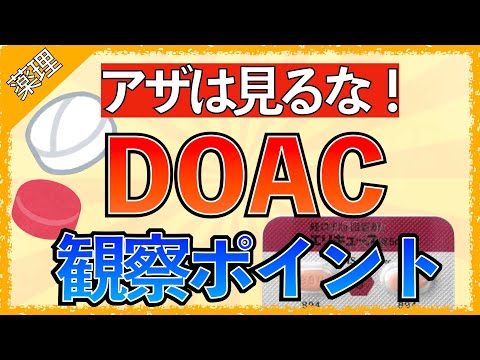 ドリコデリナ科について詳しく解説