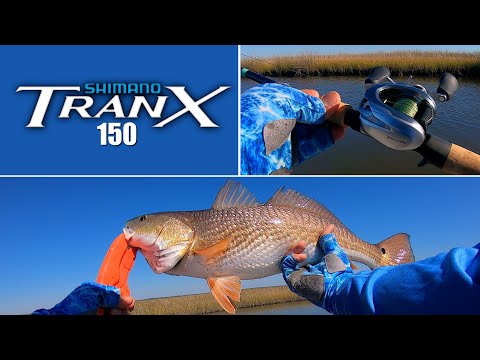 Shimano Tranx 150 Vs Redfish