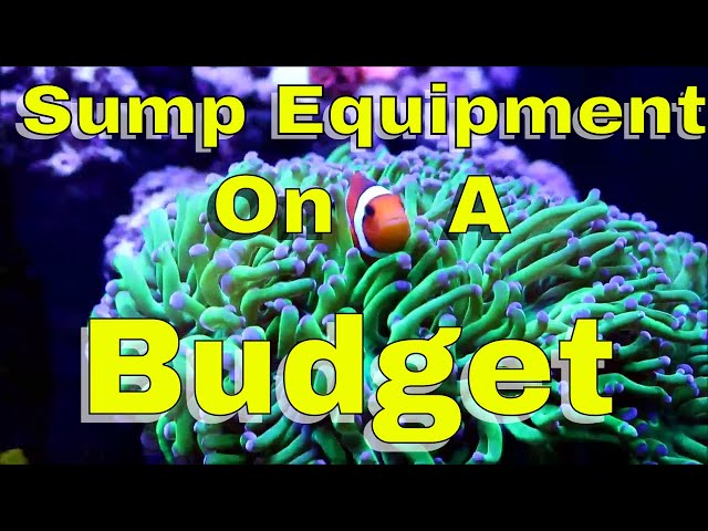 Sump On A Budget   What Equipment I Use