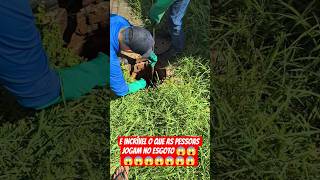 E incrível oque as pessoas jogam no esgoto.#obras #construção #pedreiro