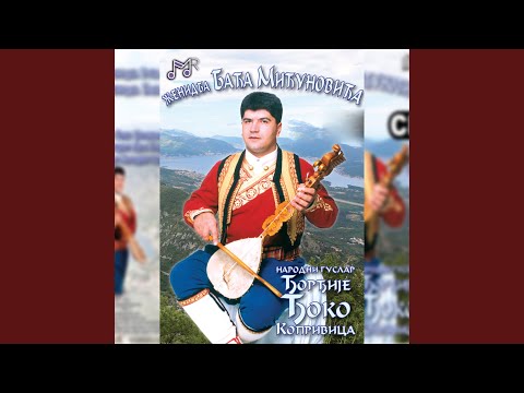 Zenidba Baca Micunovica