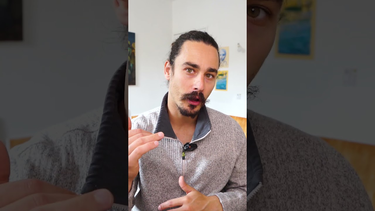 Beekeeper's Guide: Color-Coded Queen Monitoring for Health and Age