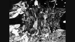 Rudimentary Peni Rotten to the Core anarcho hardcore punk