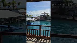 These Dolphins are moving like a bullet train | Prince Cruise Line | Star Princess Review 2026