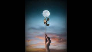 Download lagu Lokman Naufal - Haruman Terindah mp3