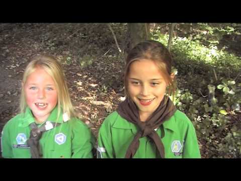 Promo Scouting Honselersdijk