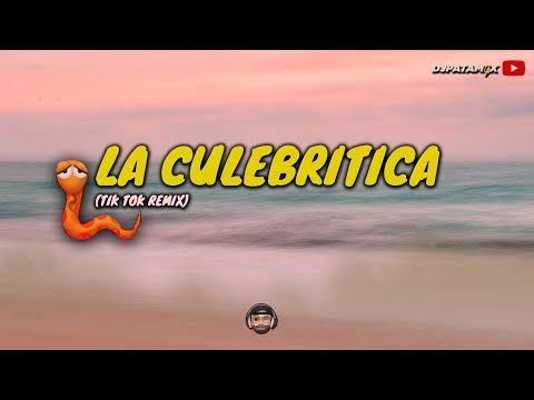 LA CULEBRITICA (Tik Tok Remix) 🎧🇦🇷 DJ Patamix