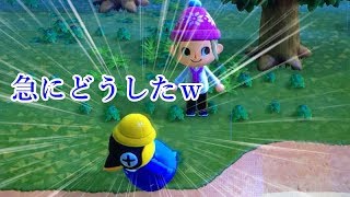 【暴言あつ森#4】住民が唐突に意味不明な行動を始めました。