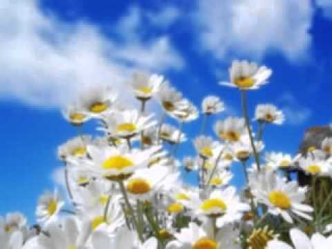 Ljuca Rustem Muratovic   Skeledzijo na Moravi