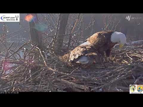 The Trio Eagles - You rang?? - 03-10-18