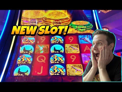 🚨 NEW SLOT! **12 HIGH LIMIT BONUSES** on COYOTE MOON! @DelawareParkCasino 