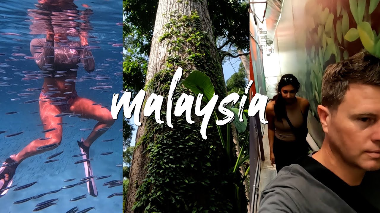 MALAYSIAN BORNEO 2-WEEK ITINERARY — Sabah & Sarawak (Wildlife, Routes & Costs) 🇲🇾