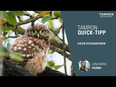 Eulen fotografieren – TAMRON Quick-Tipps