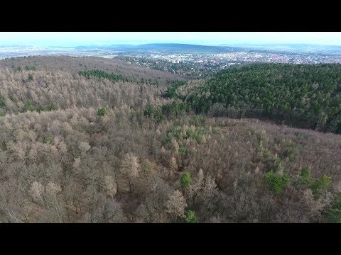 M5 csatorna - Soproni mintagazdaság – 2020/1. adás – 2020.02.01.