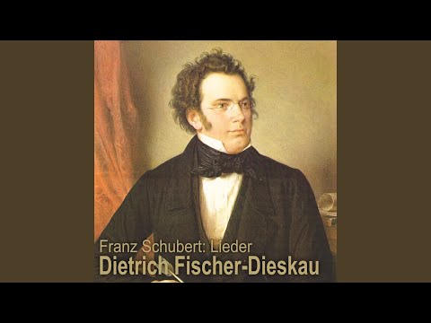 Die gebüsche, D. 646