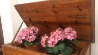 El &quot;moment&quot;