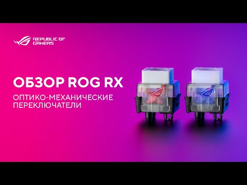 Особенности ROG RX переключателей