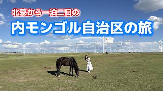 【前編】初めての内モンゴル旅行│北京からバスで5時間。大草原で社畜が家畜と戯れる