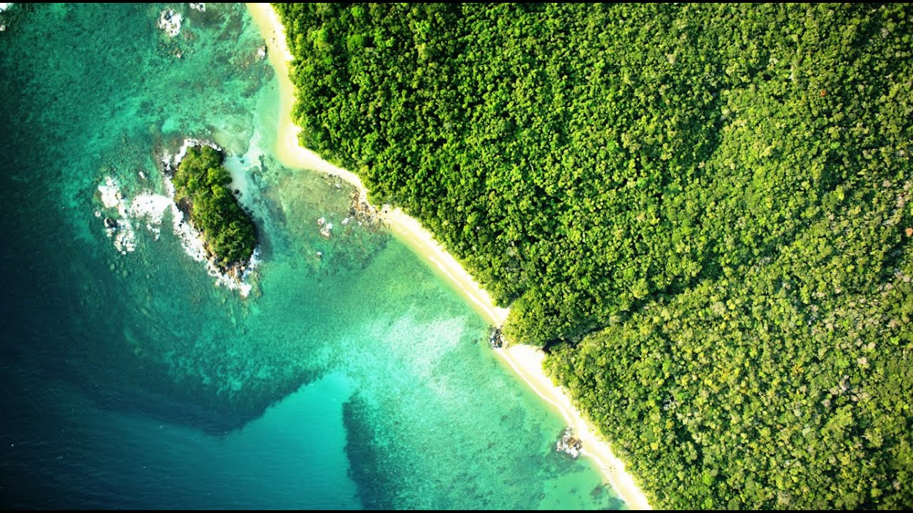 Masoala Forest Lodge – where the rainforest meets the sea