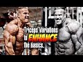 TRICEPS VARIATIONS TO ENHANCE THE BASICS