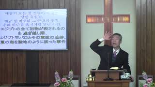 2019年2월24일, 신명기 25:17-19(하나님을 두려워하는 자와 두려워하지 않는 자)