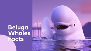 I'm OBSESSED with Beluga Whales Facts! gameplay video by alucas, 11:18 duration
