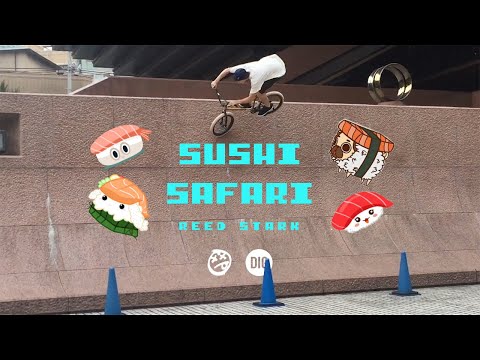 REED STARK - SUSHI SAFARI - DIG X BSD