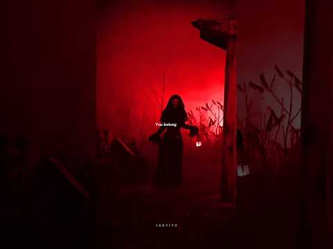 Tonight You Belong To Me Funk | Sayfalse | Lyrics | Aesthetic Status | #belongtome #funk #shorts