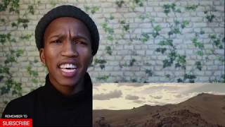 The HU - Yuve Yuve Yu REACTION 😮😱 (OMG)