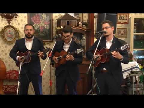 Ansambl "Velos" - Zivot tece u laganom ritmu