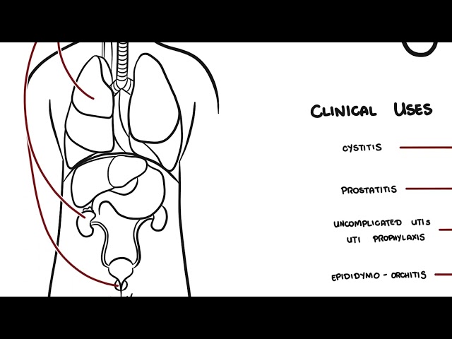 Trimethoprim: Uses, Mechanism, Side Effects