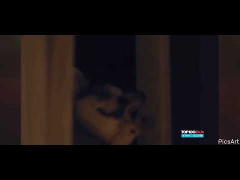 Vintage Culture - Things (Music Vídeo)