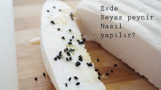 Evde peynir yapmayan kalmayacak / sadece iki malzemeyle enfes peynir / Figen Ararat