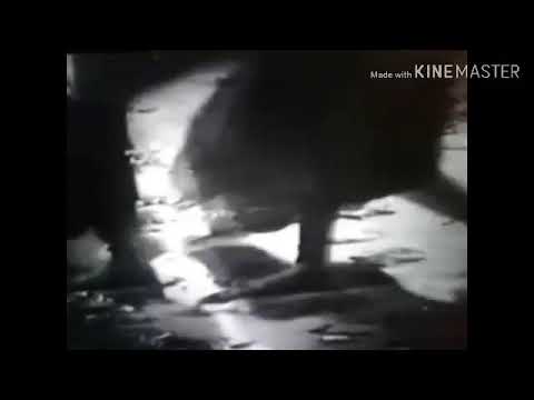 Malani suraweera - Old, sinhala film song in MA ALAYA KALA THARUNIYA - LOKAYA BIHI UNA DA SITA